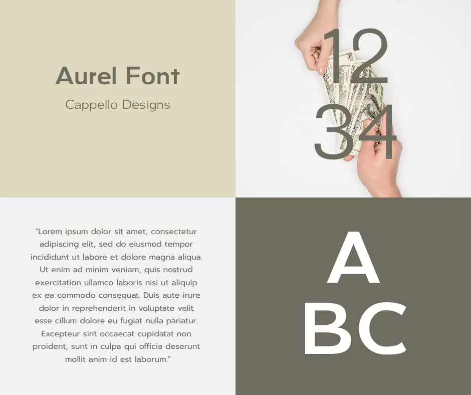 Aurel-Font-View