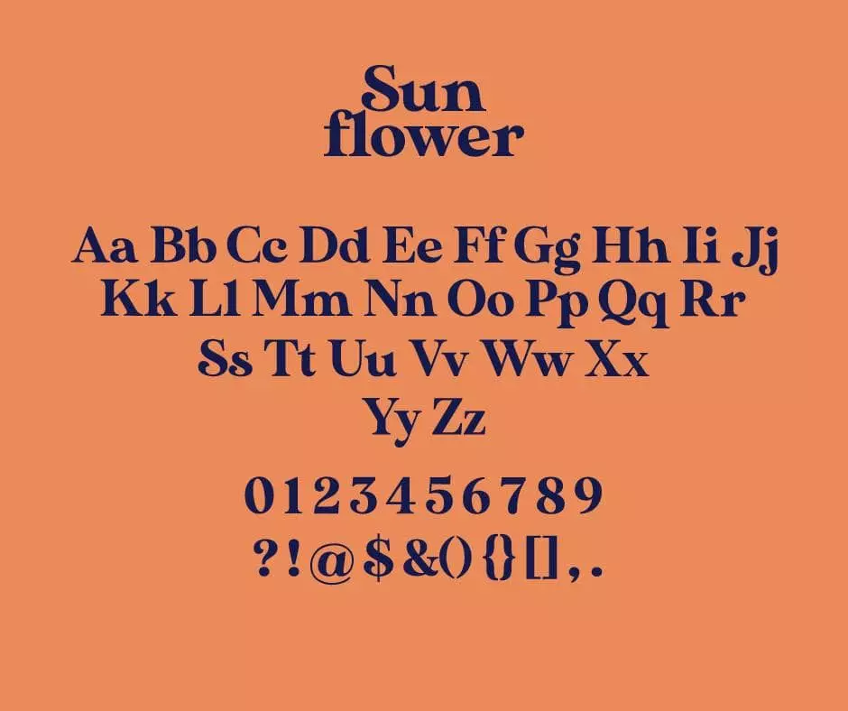 Made-Sunflower-Font-View