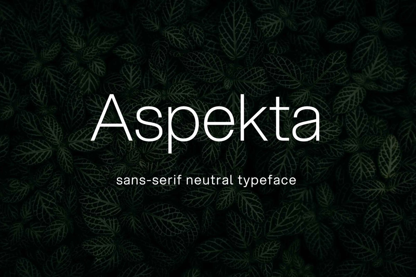 Aspekta Font